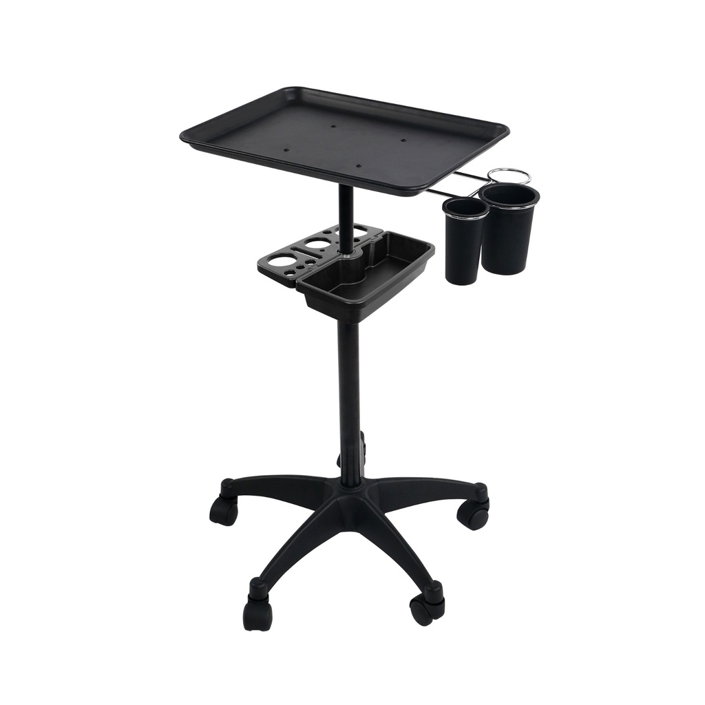 T200-1-2 Farbwagerl schwarz 47*12*41cm