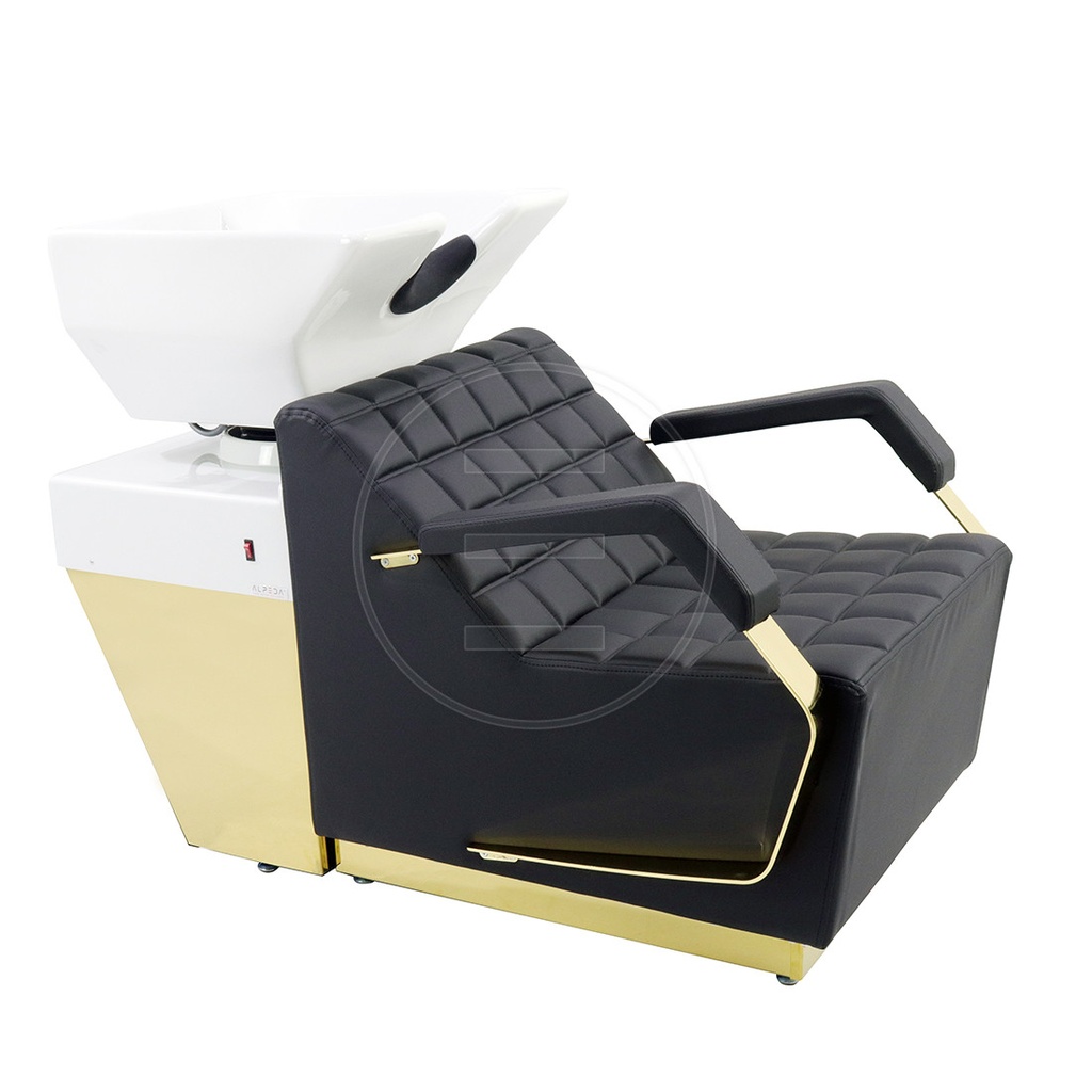 Salon Wash Gold E