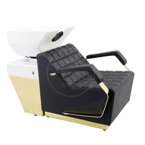Salon Wash Gold E
